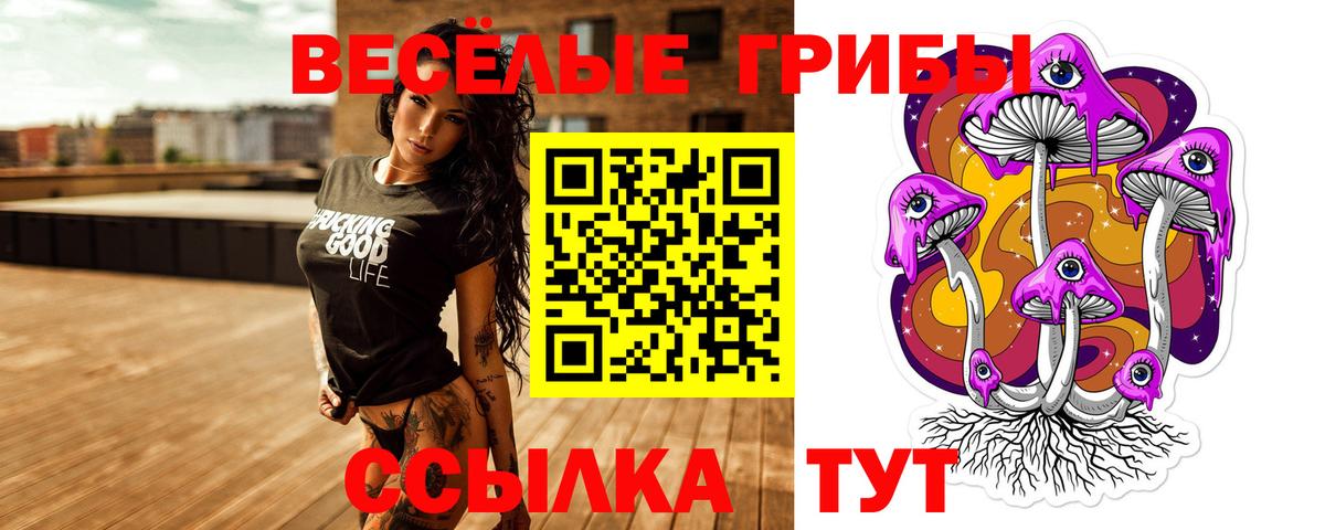 Чусовой  Псилоцибиновые грибы MAGIC MUSHROOMS  Псилоцибиновые грибы Psilocybine cubensis  Вход с VPN 